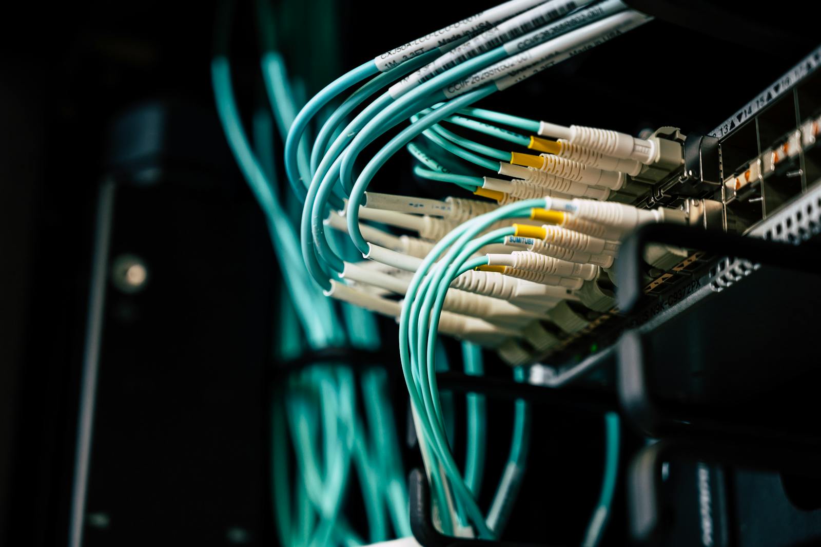 Web hosting and domain service in Bangladesh